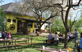 Heurigenbetrieb im Gastgarten, © Mayer-Hörmann Menschen sitzen im Freien an Holztischen vor einem gelben Gebäude mit blühenden Bäumen.