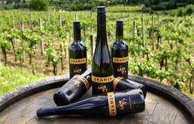 heurigenlokal-familie-gramer-innenfotostudio-wurstat-2, © fotostudio-wurst.at heurigenlokal-familie-gramer-innenfotostudio-wurstat-2, © fotostudio-wurst.at