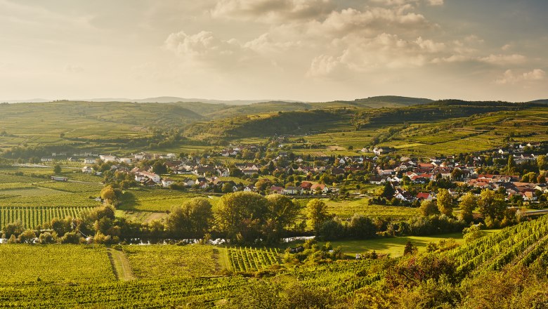 Kamptal, © Niederösterreich-Werbung/Michael Liebert