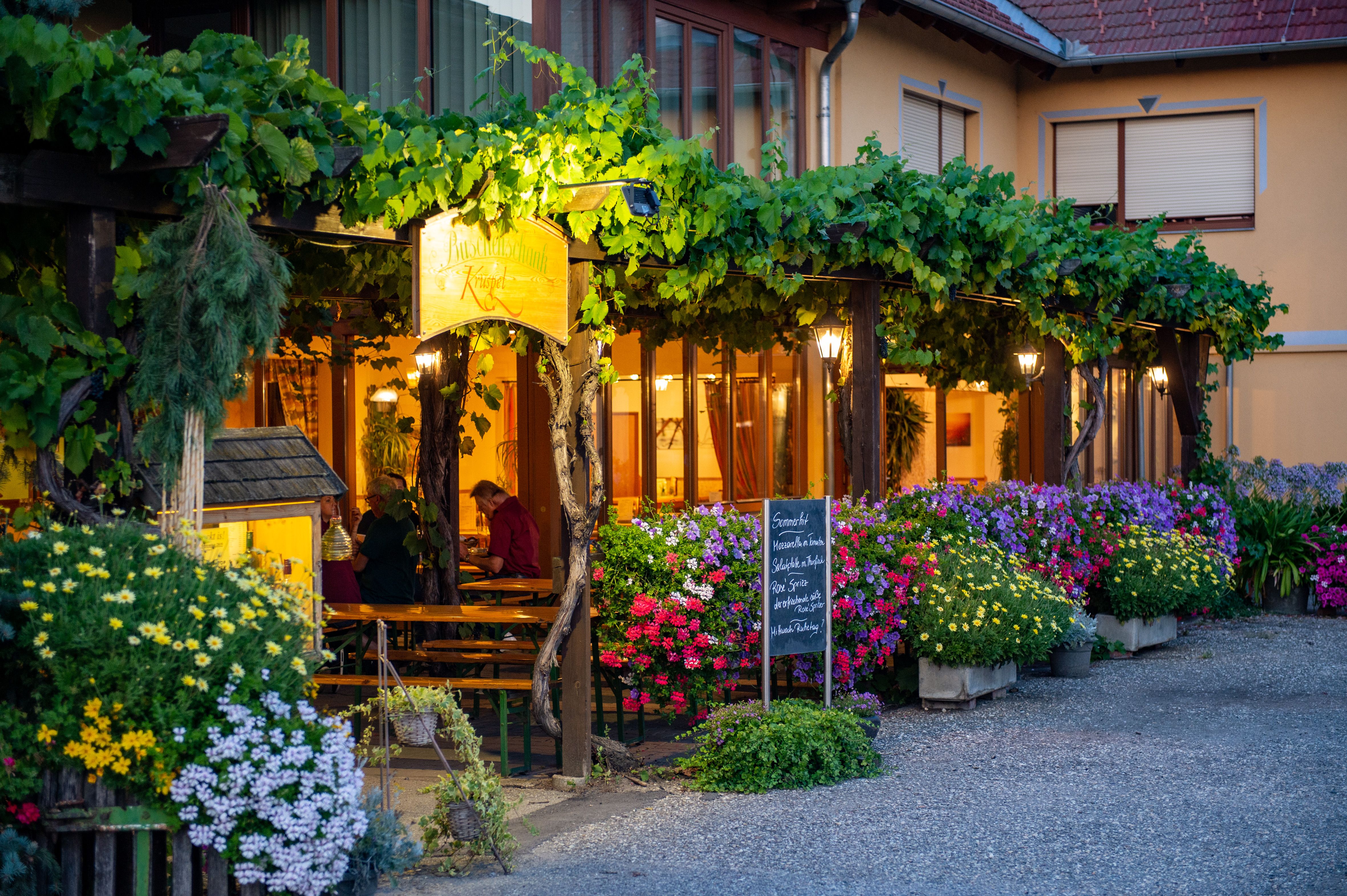 Ein gemütlicher Gastgarten mit blühenden Pflanzen und Weinreben, beleuchtet von warmem Licht. Menschen sitzen an Holztischen unter einem Laubengang.