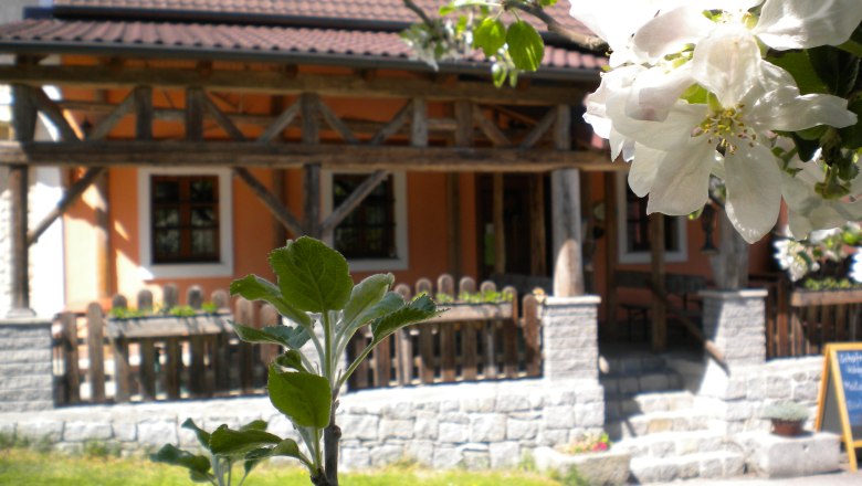 Blühender Apfelbaum vor einem traditionellen Gebäude mit Holzelementen.