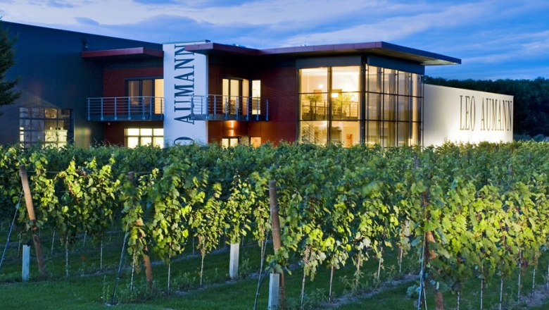 Weingut Leo Aumann bei D&auml;mmerung mit beleuchtetem Geb&auml;ude und Weinreben im Vordergrund.