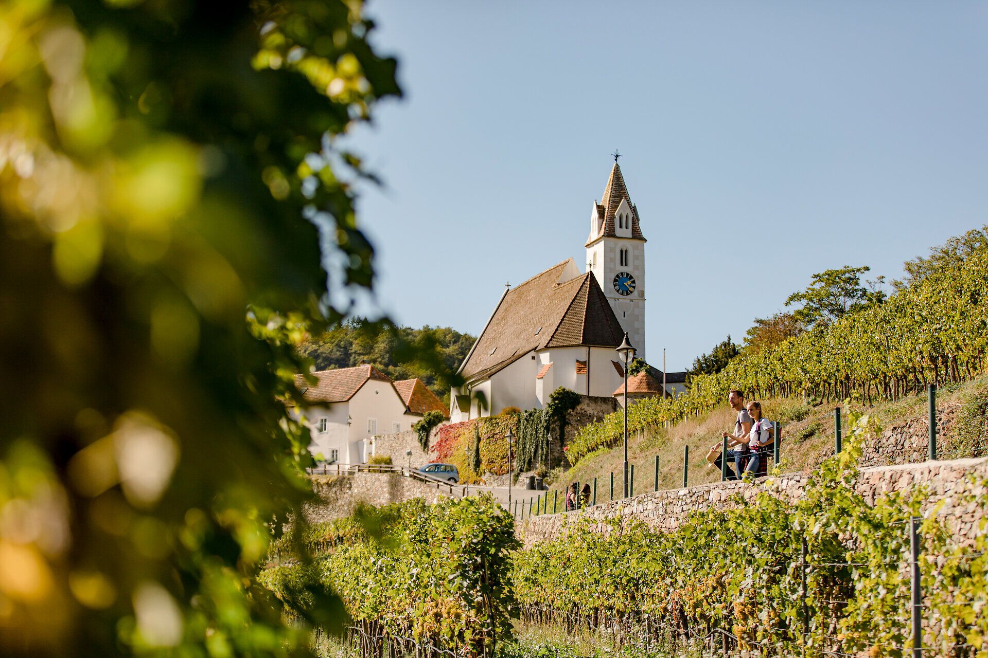 Die Kirche von Senftenberg mit herbstlichen Weinreben
