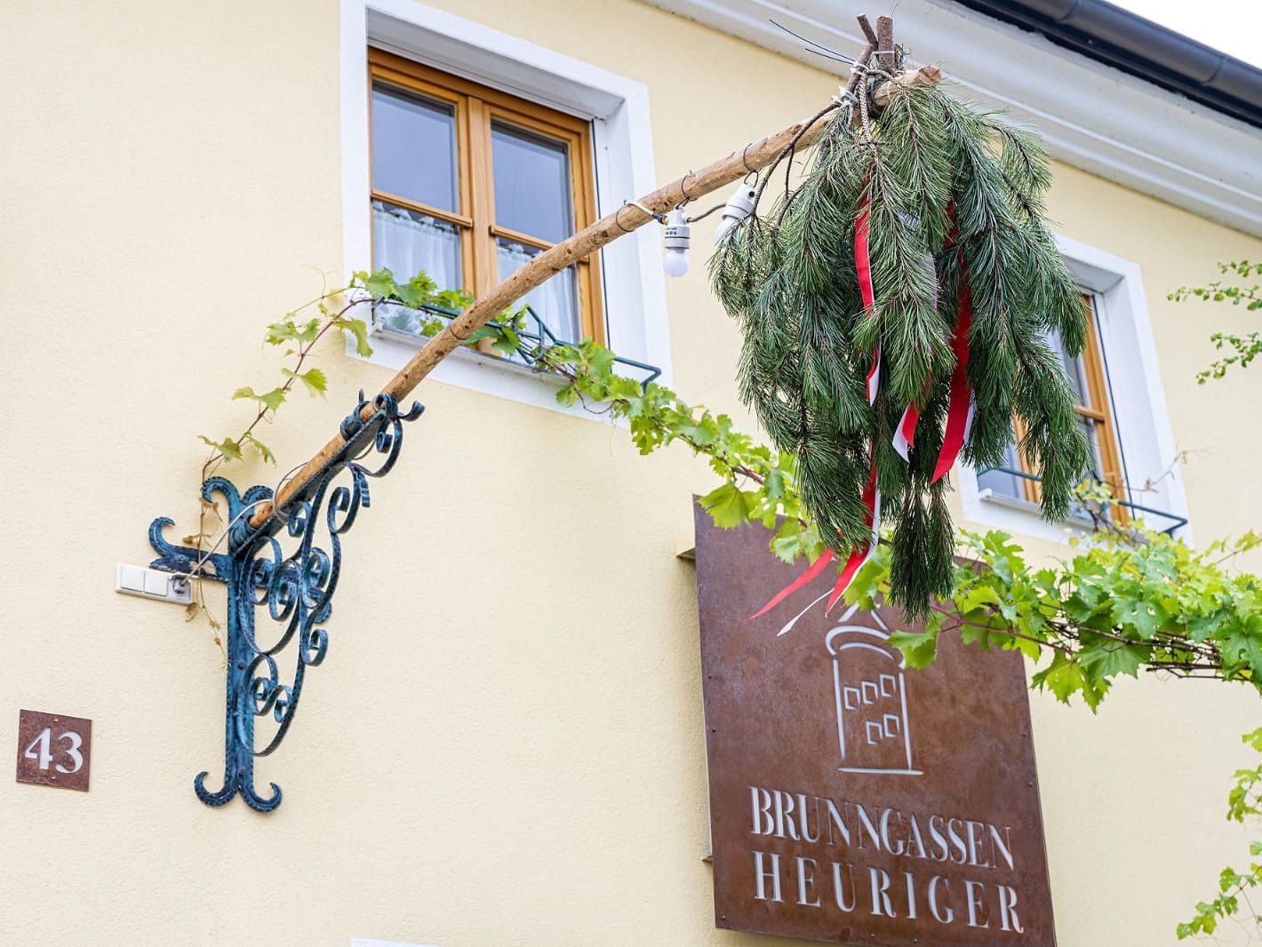 Ausg'steckt, Weingut Herzog, Brunngasse, Bad Vöslau
