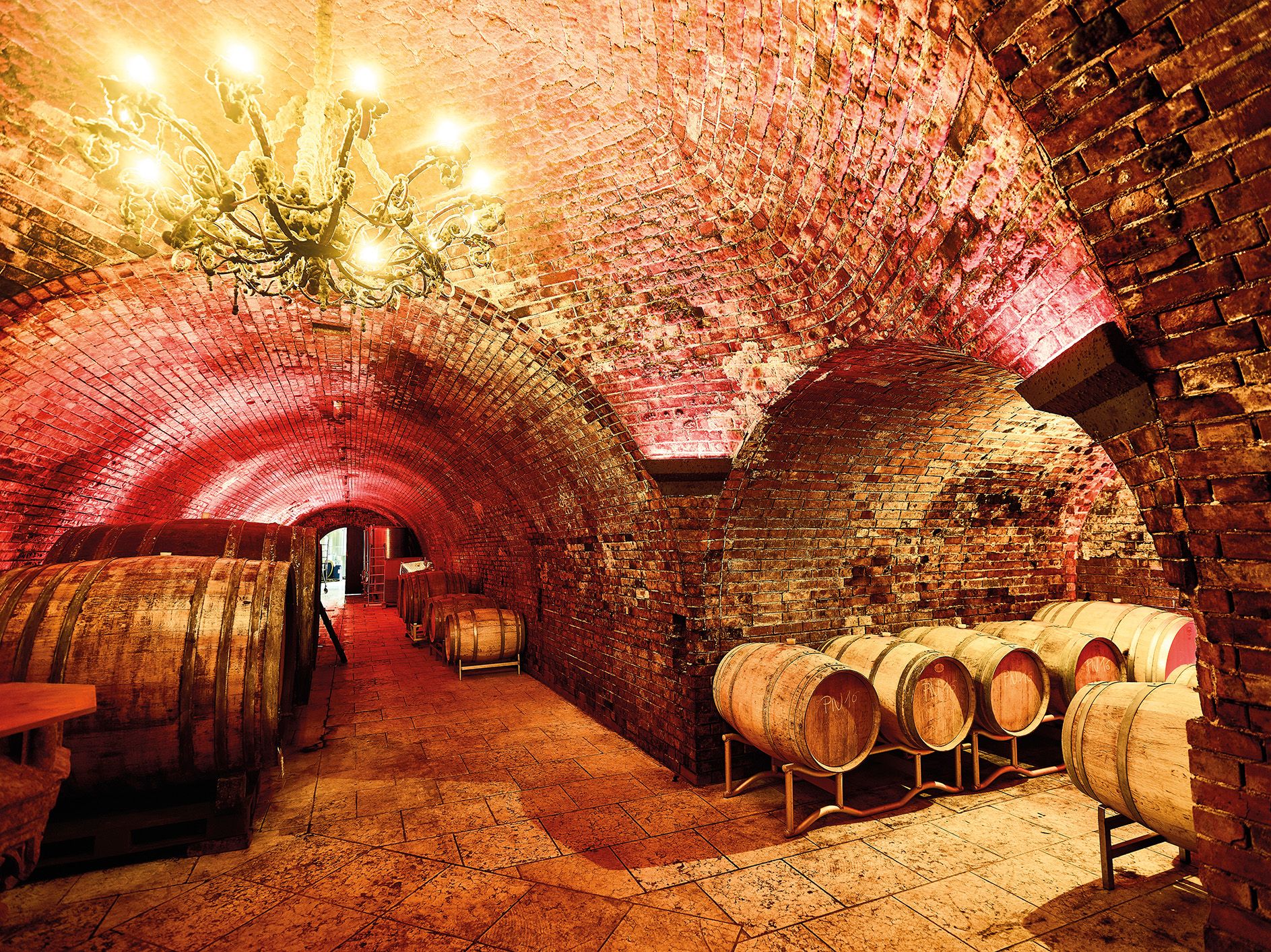 Ein Weinkeller mit Ziegelgewölbe, Holzfässern und einem Kronleuchter.