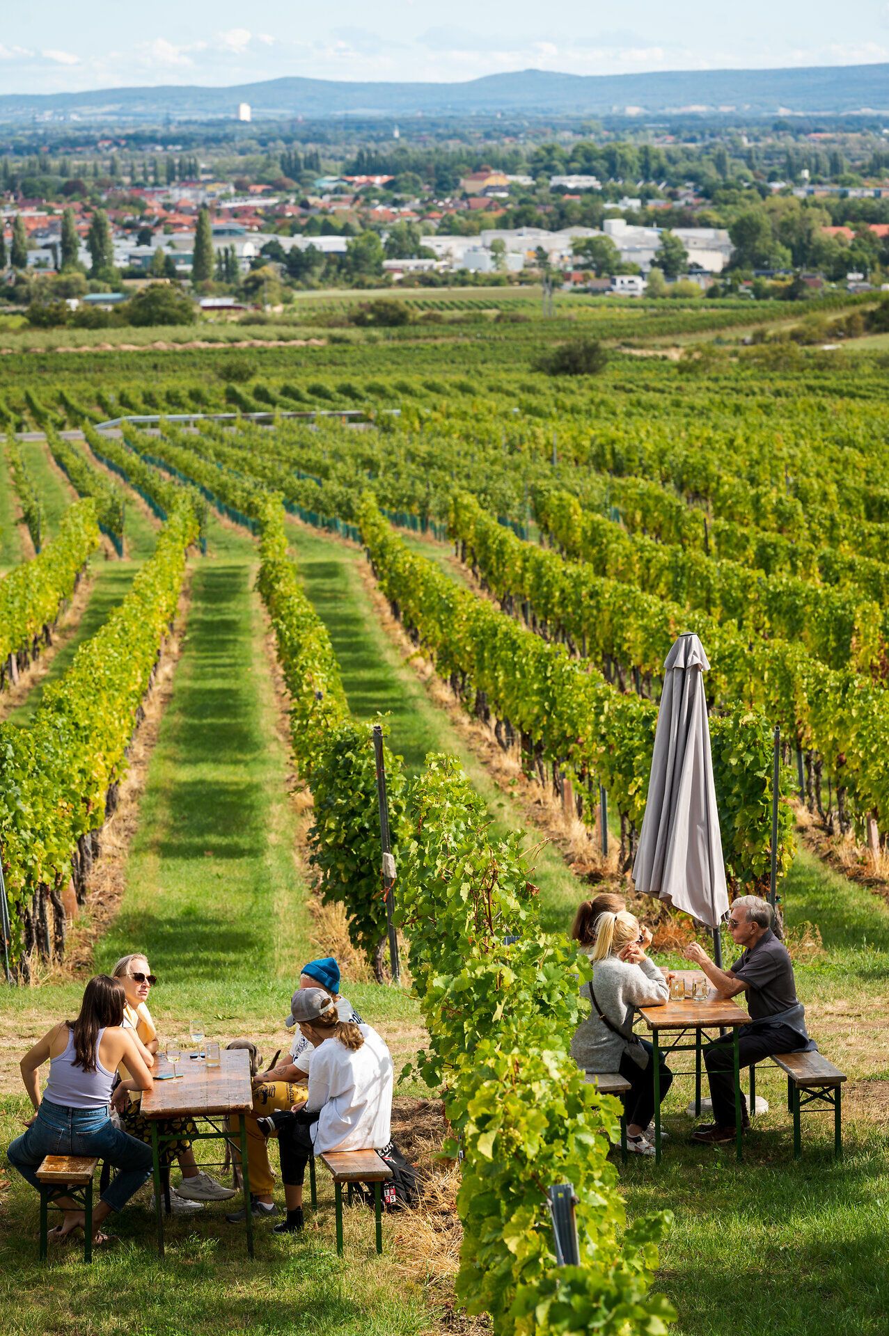 Inmitten der sanften Hügel und üppigen Weinreben genießen Besucher eine entspannte Zeit im Freien. Die Tische laden zum Verweilen ein, während die Sonne über den Weinbergen strahlt und eine Atmosphäre der Geselligkeit schafft. Hier wird der Sommer in seiner schönsten Form erlebt.