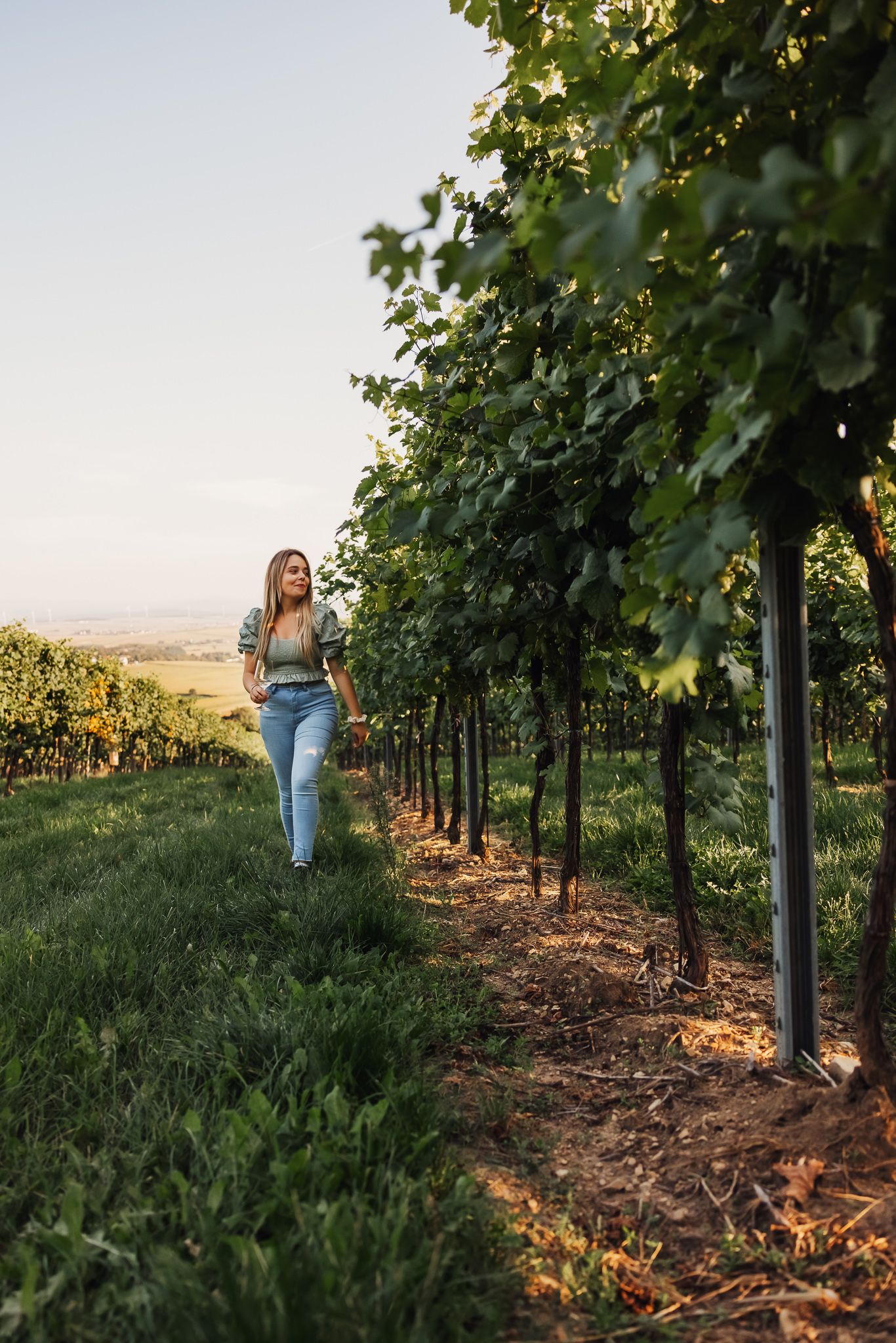 traisental_winzerhof-erber