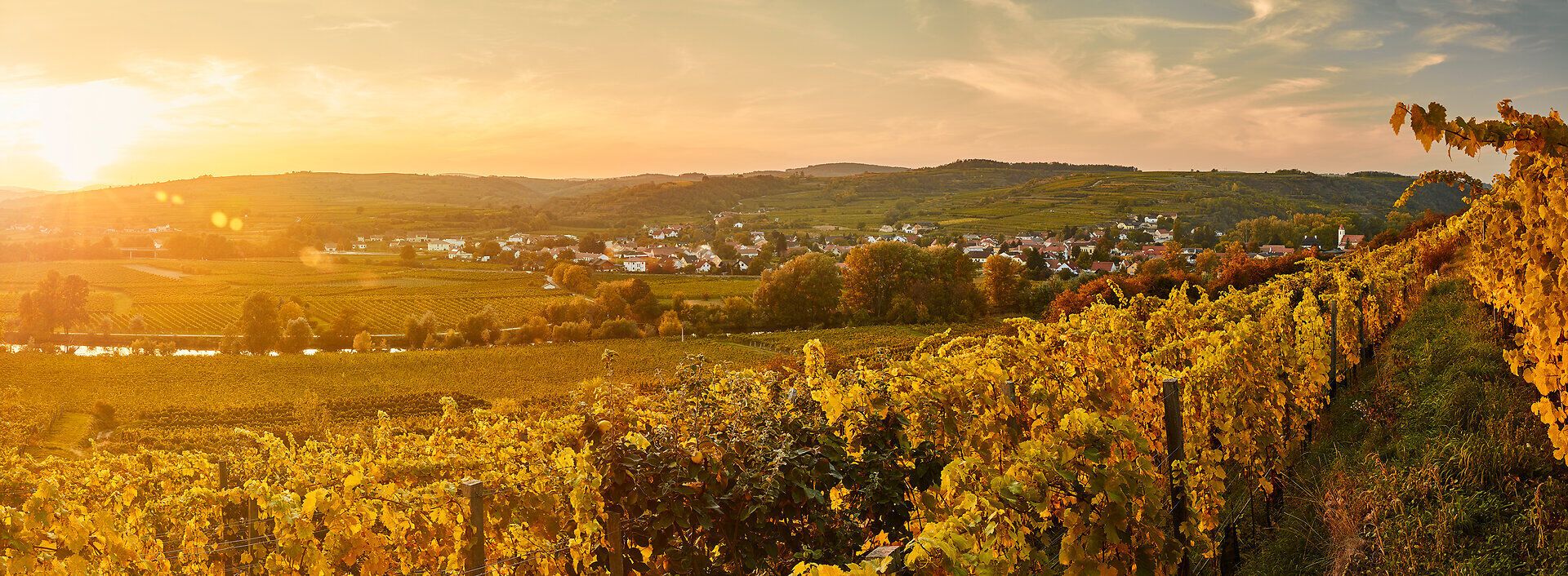 Die sanften Hügel des Kamptals sind von üppigen Weinreben umgeben, die im warmen Licht der Abendsonne golden leuchten. Hier, wo die Natur und die Weintradition harmonisch verschmelzen, lädt die malerische Landschaft zu genussvollen Erlebnissen und entspannenden Spaziergängen ein.