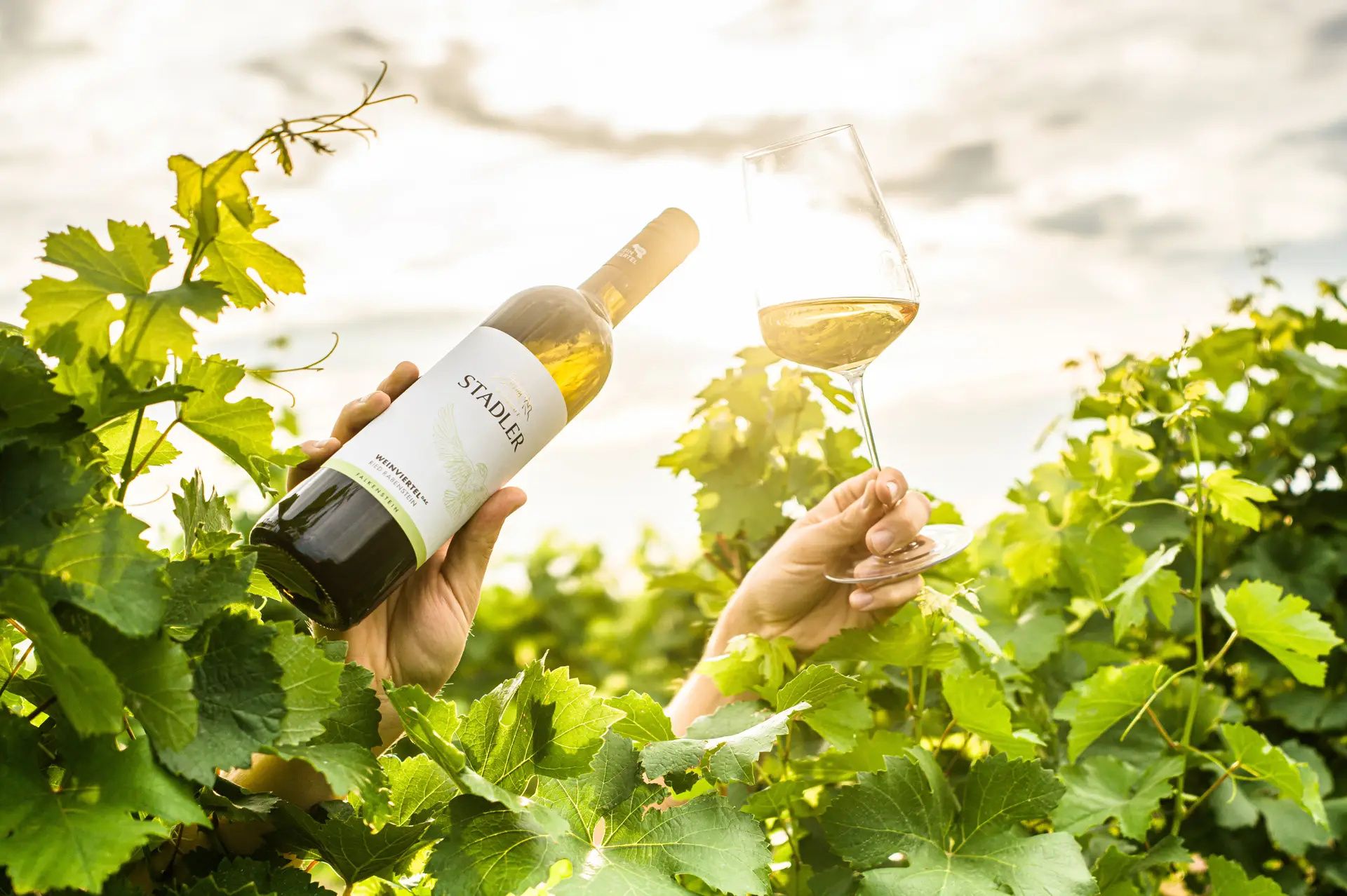 Eine Hand hält eine Weinflasche, eine andere ein Weinglas in einem Weinberg bei Sonnenlicht.