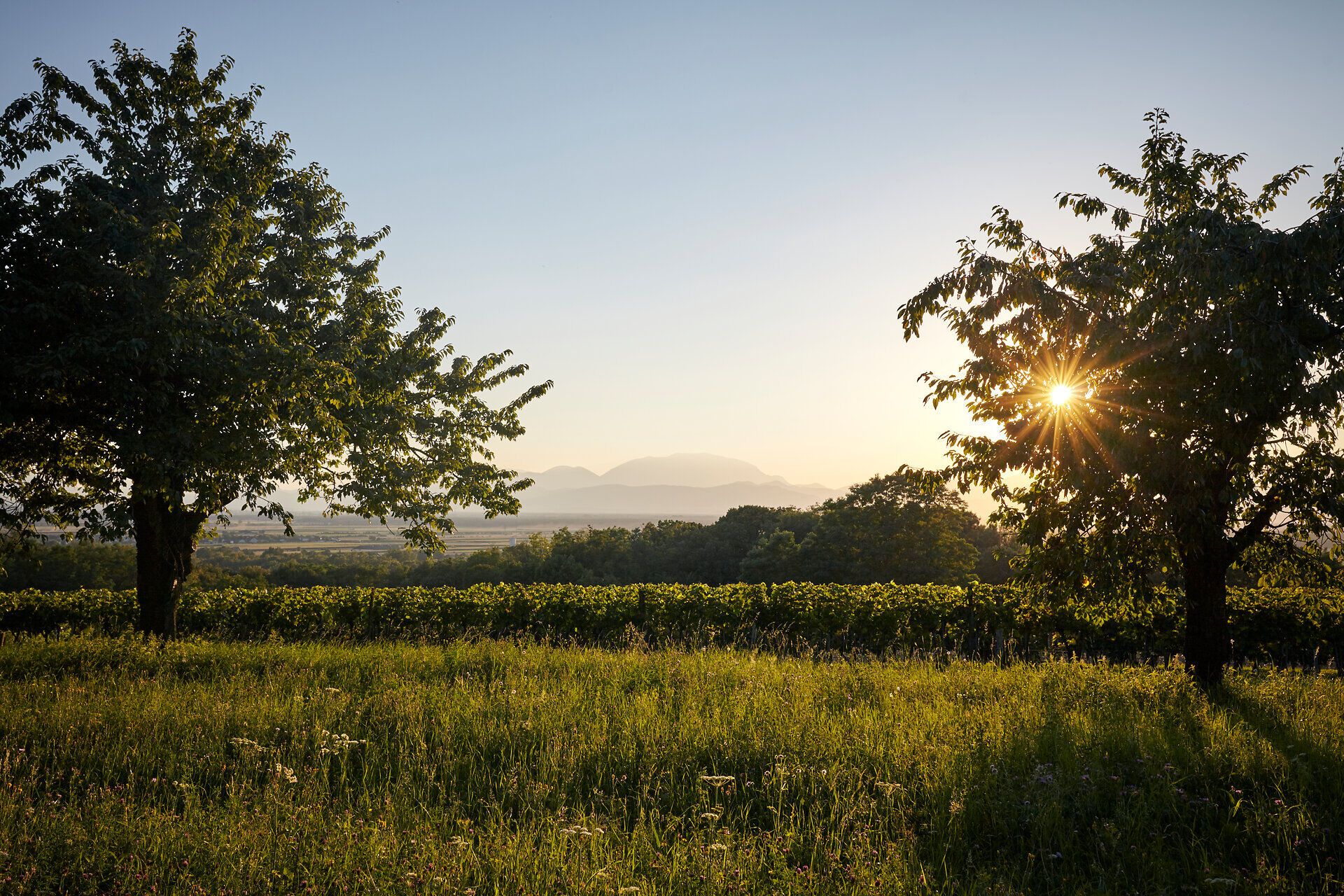 Ausblick von Eichbüchl bei Sonnenuntergang