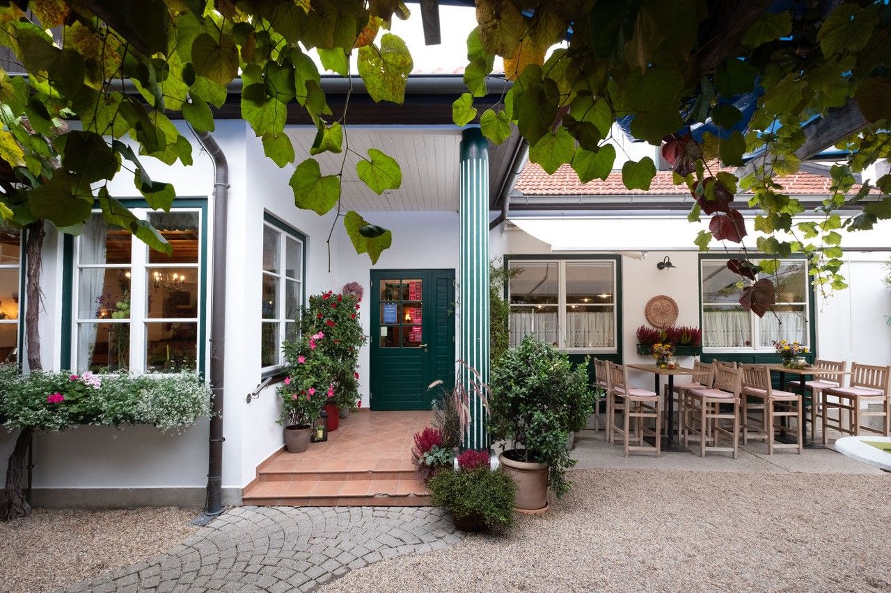 Heuriger & Weinbau Zechmeister