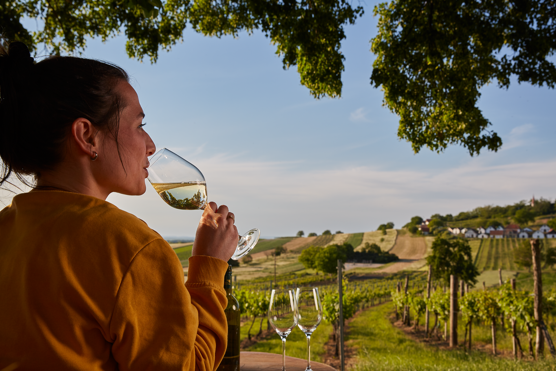 Genießen Sie einen erfrischenden Weißwein inmitten der sanften Hügel des Weinviertels. Die malerische Landschaft mit ihren üppigen Weinreben und dem strahlend blauen Himmel schafft eine perfekte Kulisse für entspannte Stunden. Lassen Sie sich von der Schönheit der Natur verzaubern und erleben Sie unvergessliche Momente.