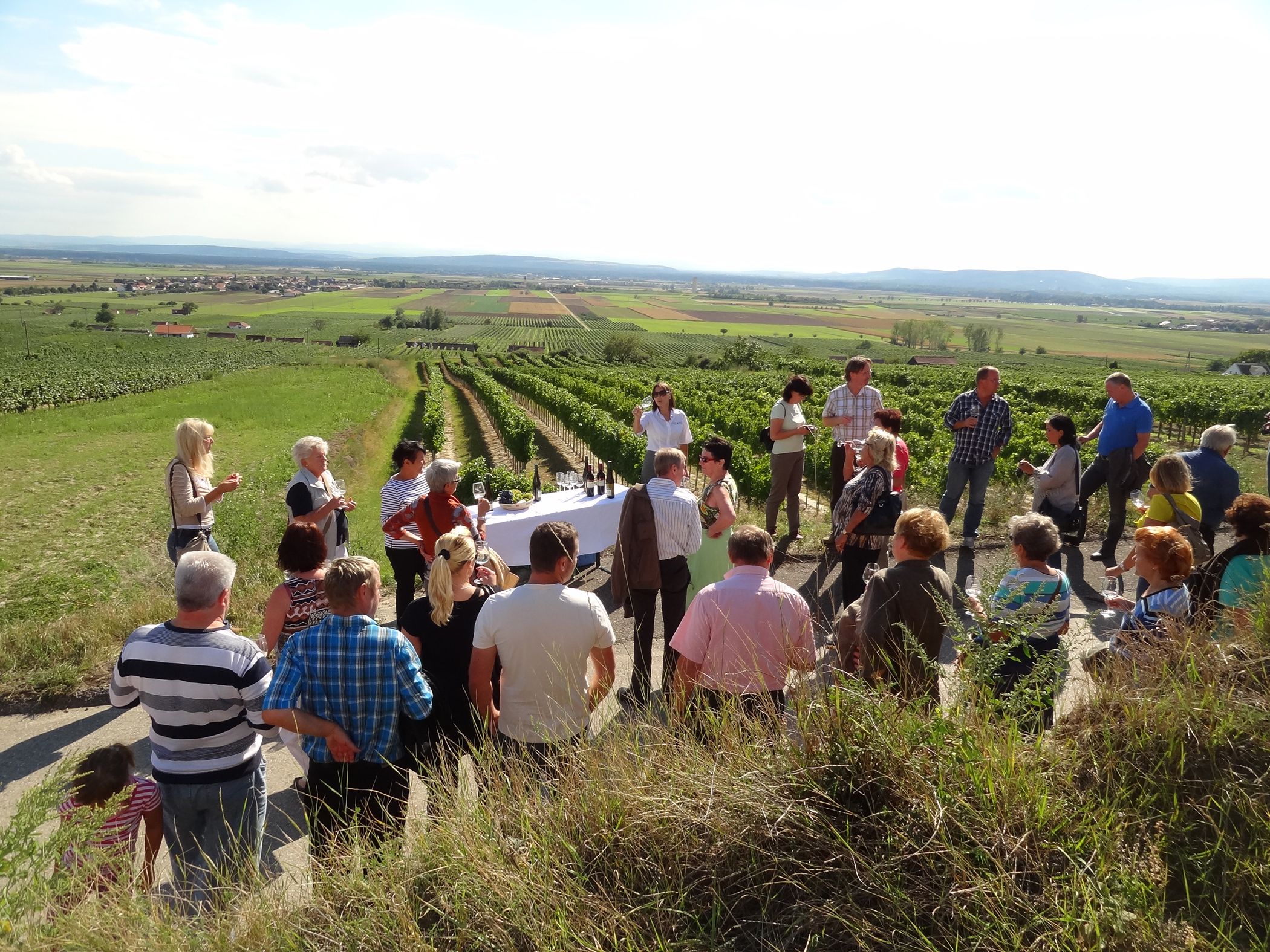 Gruppe von Menschen bei einer Weinverkostung im Freien, umgeben von Weinbergen.