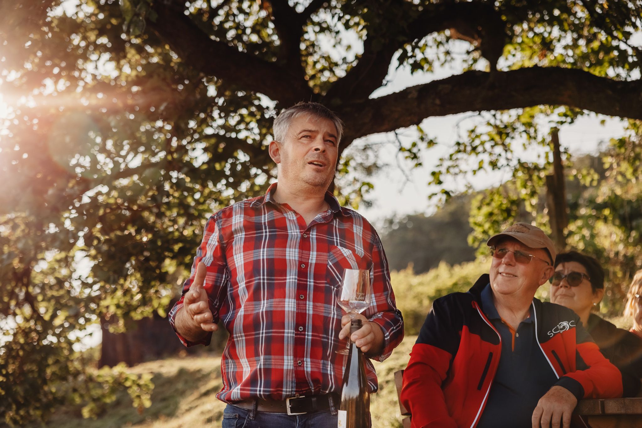traisental_winzerhof-erber