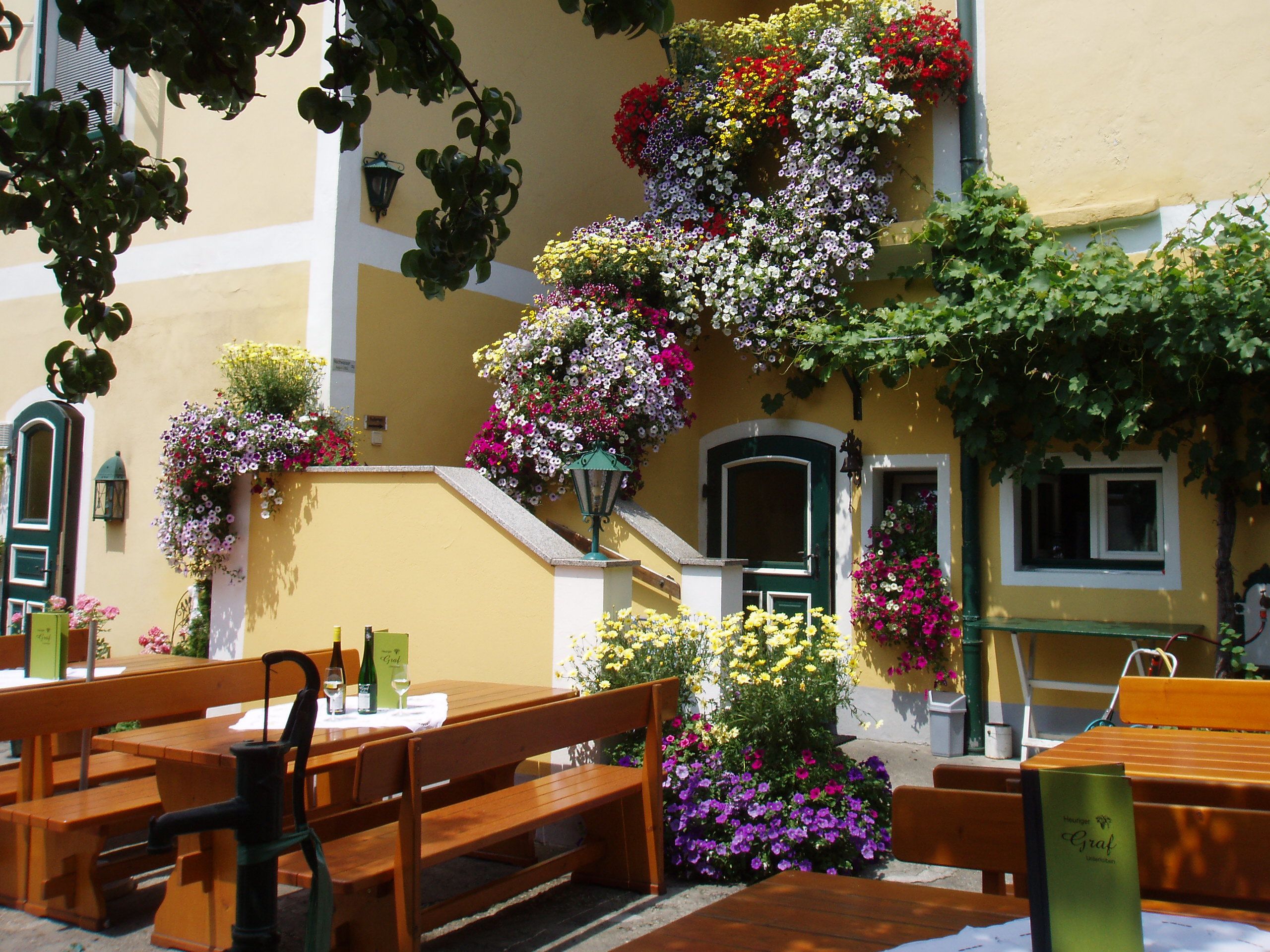 Ein sonniger Gastgarten mit Holzbänken und Tischen, umgeben von blühenden Blumen an einem gelben Gebäude.