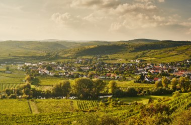 Kamptal, © Niederösterreich-Werbung/Michael Liebert