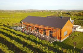 Weinterrasse Pulkau, &copy; Weinterrasse Pulkau