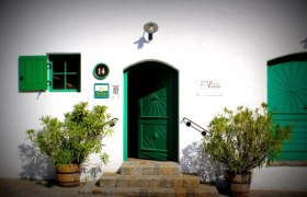 Eingang eines Heurigen mit gr&uuml;ner T&uuml;r und Fensterl&auml;den, umgeben von Pflanzen in Holzf&auml;ssern.