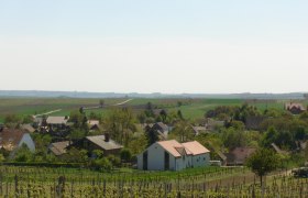 Landschaft mit Weinbergen und Dorf im Hintergrund.
