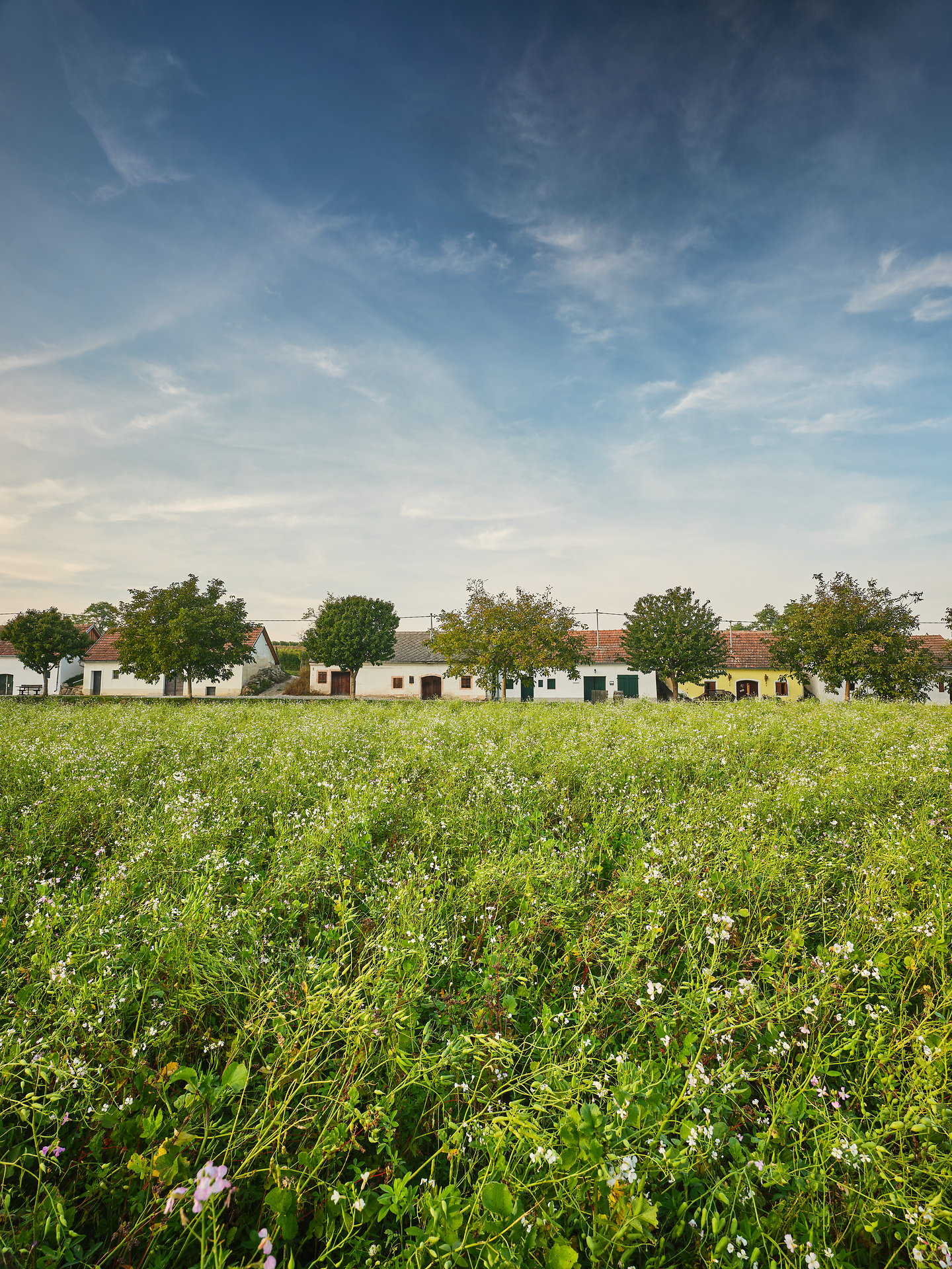 In der malerischen Weinlandschaft des Kamptals erstrecken sich sanfte Hügel, die mit üppigen Weinreben bedeckt sind. Die warmen Sonnenstrahlen tauchen die Umgebung in ein goldenes Licht und laden dazu ein, die frische Luft und die Ruhe der Natur zu genießen.