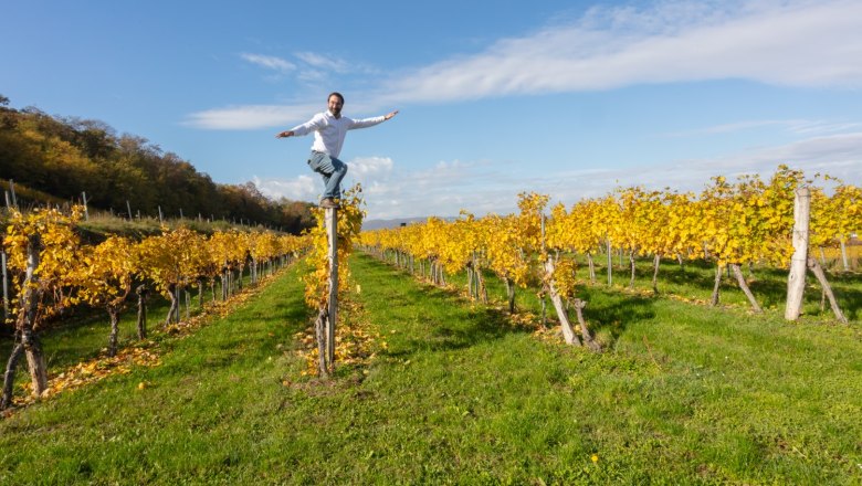 Weingut Tanzer, &copy; Weingut Tanzer