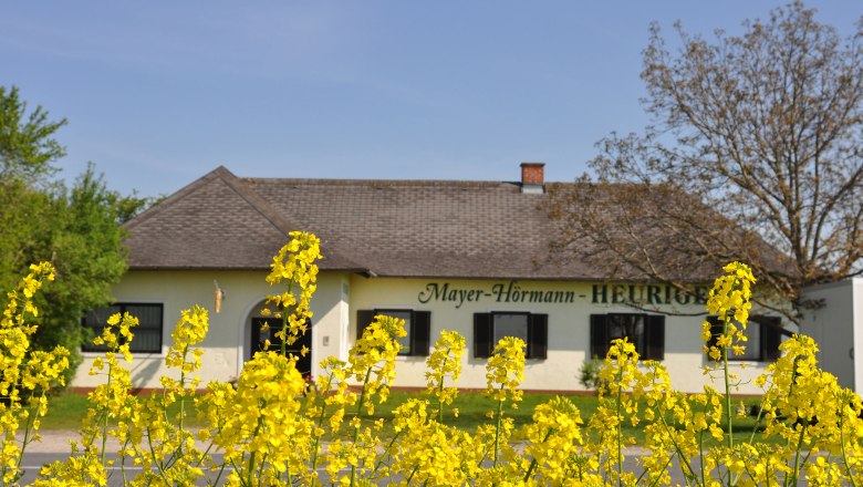 Außenansicht eines Heurigenlokals mit gelben Blumen im Vordergrund.