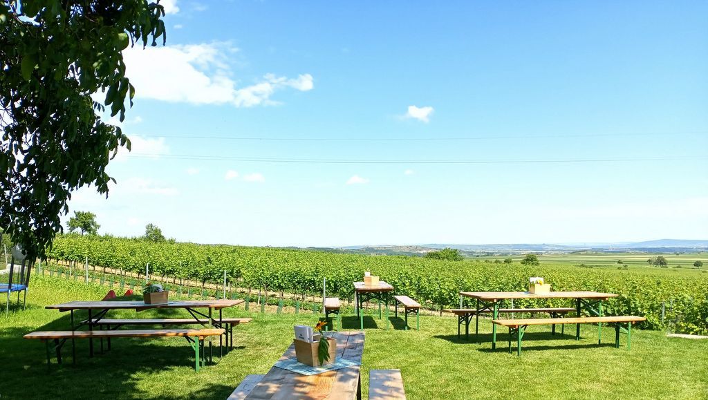 Blick von einer Terrasse auf Weinberge mit Holztischen und Bänken im Vordergrund.