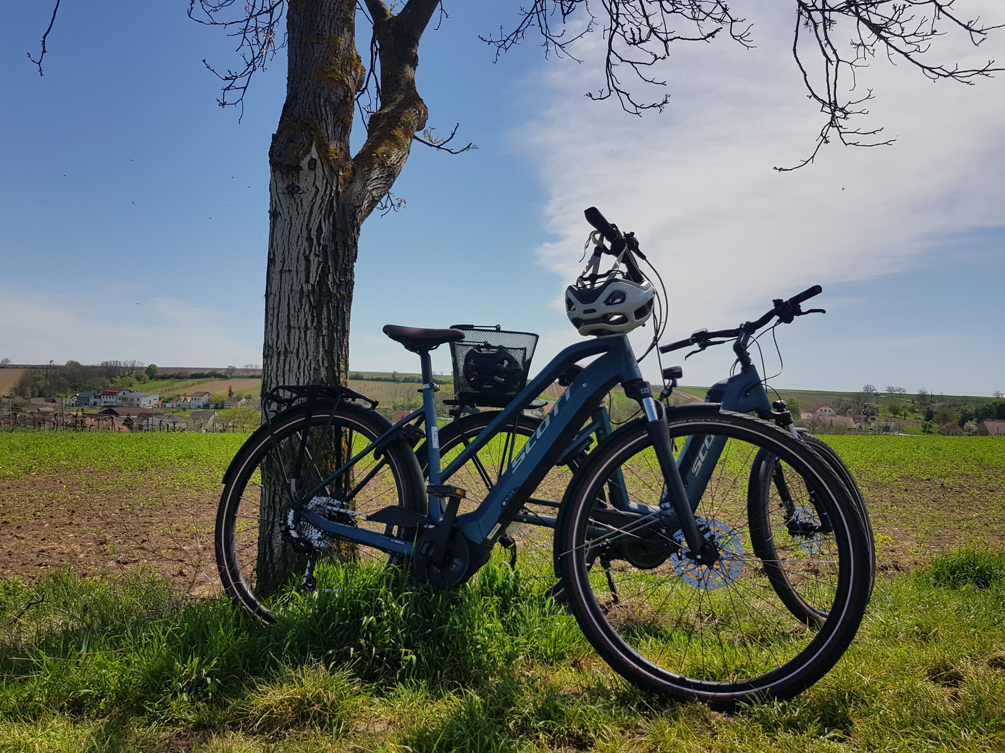 Zwei Fahrräder lehnen an einem Baum auf einem Feld mit Dorf im Hintergrund.