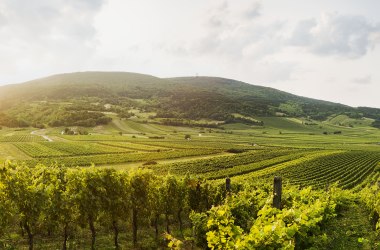 Thermenregion, © Niederösterreich-Werbung/Michael Liebert