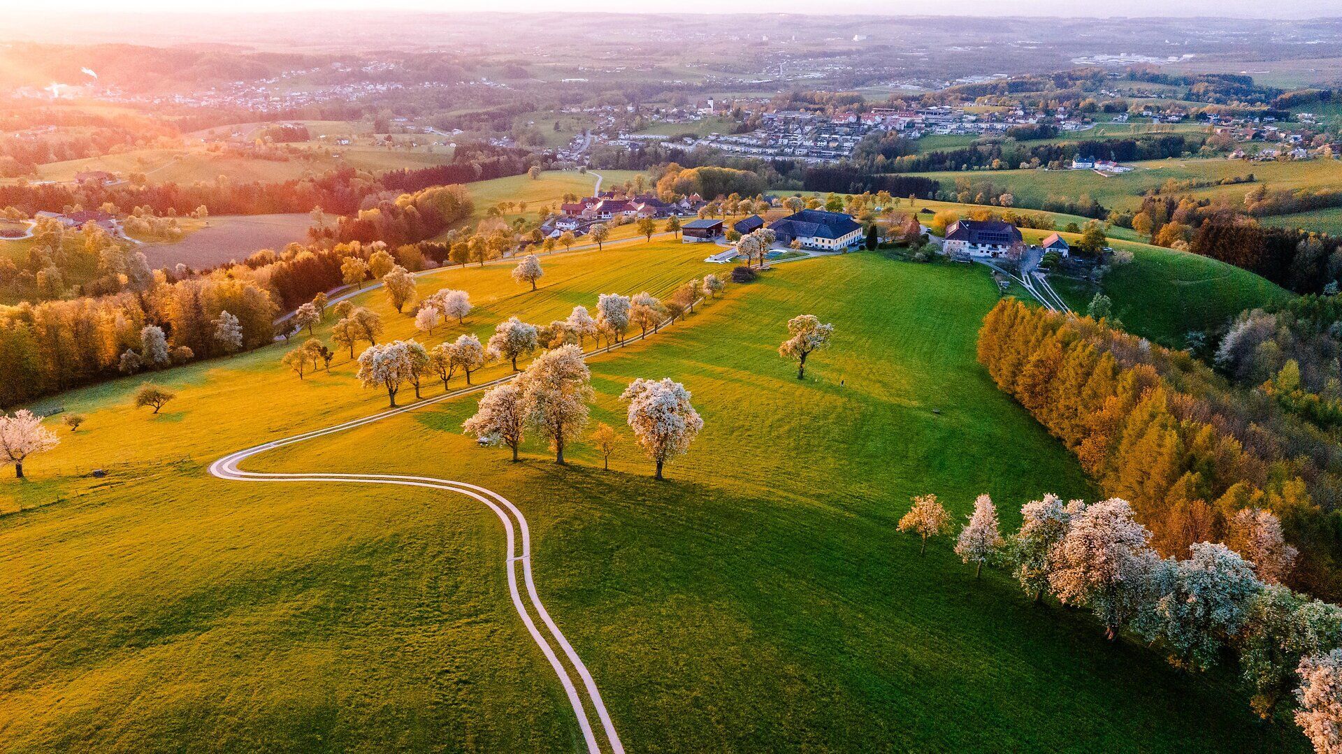 Im Frühling erblühen die Birnbäume in voller Pracht und verwandeln die sanften Hügel in ein blühendes Meer aus Weiß. Die warmen Sonnenstrahlen tauchen die Landschaft in goldenes Licht und laden zu einem entspannenden Spaziergang entlang der geschwungenen Wege ein.
