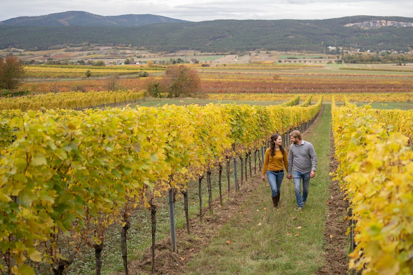 Julia und Manuel Herzog, Weingut Herzog, Brunngasse, Bad Vöslau